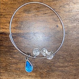 Alex and Ani raindrop bracelet
